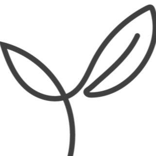 genital sağlık için antibakteriyel merino yünü iç çamaşırı